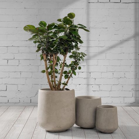 Handmade Concrete Planters, Plant Pots Crafts, Concrete Containers, Large Outdoor Planters, Handmade Plant, Concrete Planter, Cement Planters, Concrete Color, Indoor Planter