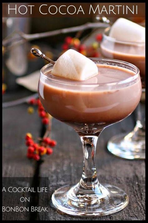 A Hot Cocoa Martini would go down nicely at home by the fire in a fancy glass or around the campfire in a mug. Hot Cocoa Martini, Hot Chocolate Martini, Martini Ideas, Spanish Coffee, Signature Cocktails Wedding, Wedding Signature Drinks, Cocoa Bar, Winter Wonderland Wedding, Whipping Cream