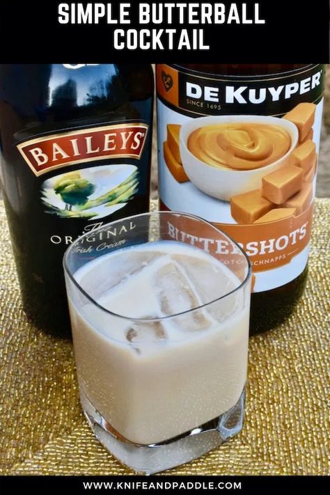 Baileys and Butterscotch Schnapps in a glass Christmas Drinks With Baileys, Drinks With Baileys, Baileys Recipes Drinks, Easy Christmas Drinks, Apple Cider Martini, Cider Martini, Baileys Drinks, Poisoned Apple, Baileys Recipes