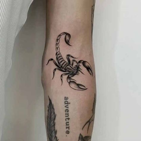 Animal And Insect Tattoos, Men Scorpio Tattoo Ideas, Scorpio Arm Tattoo, Scorpion Tattoo On Arm, Scorpio Tattoo Arm, Scorpion Arm Tattoo, Scorpio Hand Tattoo, Realistic Scorpion Tattoo, Black Scorpion Tattoo