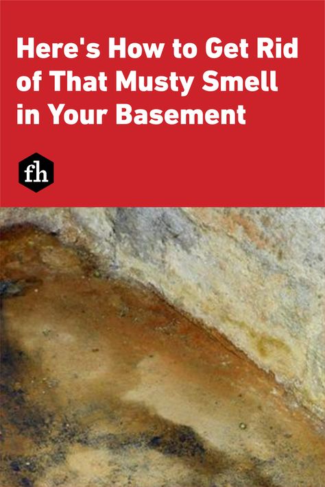 Basement Odor Eliminator, Musty Smell In House, Basement Odor, Mold In Basement, Mold Smell, Leaking Basement, Smell Remover, Old Basement, Dark Basement