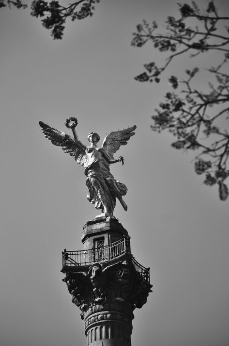 Mexico City Aesthetic, City Dark, Texture Background Hd, Mexico Pictures, Angel Statue, Angel Statues, Angel Pictures, Grey Wallpaper, City Aesthetic