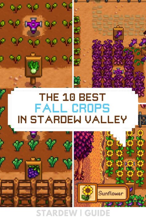 Stardew Valley Fall Crops, Fall Crops, Fall Begins, Eggplant Seeds, Farming Guide, Fall Crop, Rose Fairy, Rare Seeds, Plant Guide