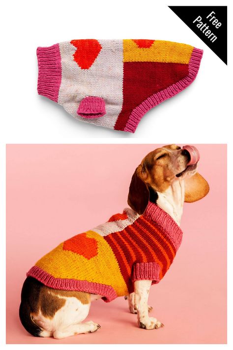 Dog Knitted Sweaters, Knitted Dog Pattern Free, Dog Jumper Knitting Pattern, Knitting Patterns For Dogs, Sweater Free Knitting Pattern, Dog Jacket Patterns, Pet Clothes Patterns, Diy Dog Sweater, Knitted Dog Sweater Pattern