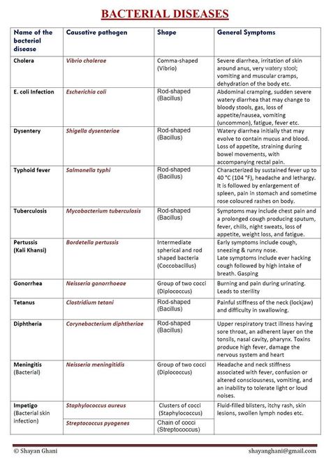 Pathogenic Microbiology, Microbiology Study, Medical Terminology Study, Medical Lab Technician, Medical Laboratory Technician, Microbiology Lab, Medical Laboratory Scientist, Bacterial Diseases, Study Biology