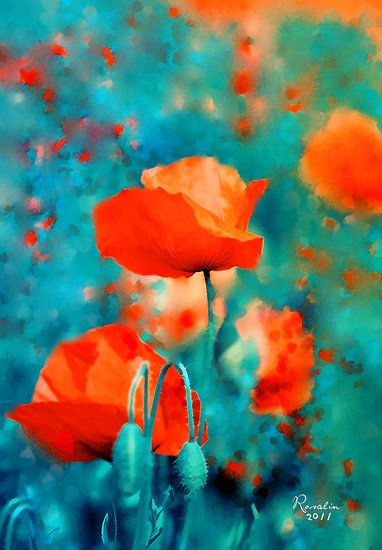 orange and turquoise, poppy painting. -kitchen color inspiration Poppy Painting, 수채화 그림, Teal Orange, Orange And Turquoise, Arte Floral, Blue And Orange, Colour Schemes, Red Poppies, Painting Inspiration