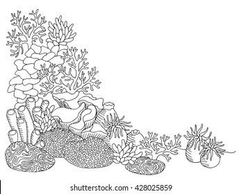 Under The Sea Drawings, Coral Reef Drawing, Coral Tattoo, Coral Drawing, Underwater Drawing, Shell Drawing, Ocean Drawing, Sea Drawing, Tropical Painting