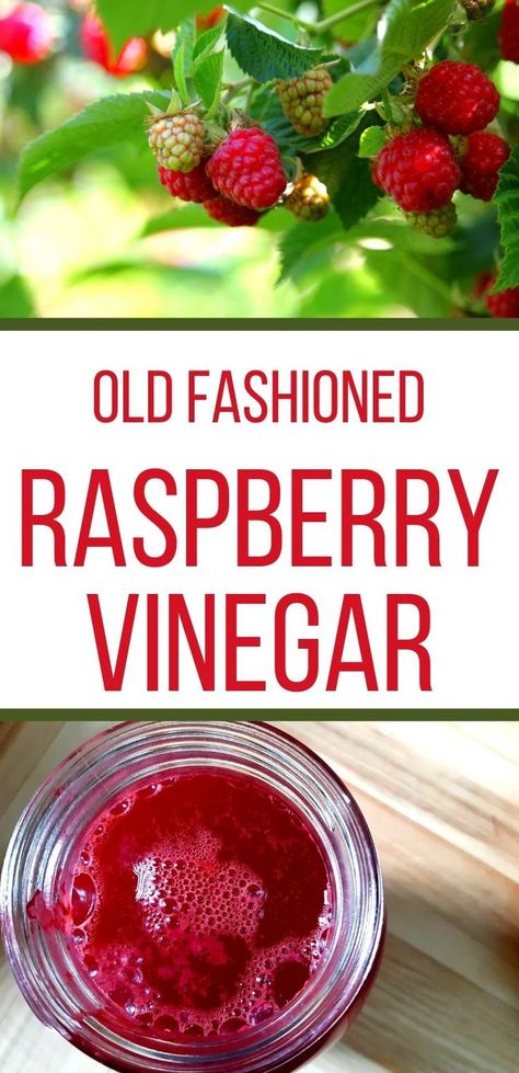 Raspberry Vinegarette, Raspberry Vinegar, Fruit Vinegar, How To Make Vinegar, Flavored Vinegars, Infused Vinegars, Vinegar Salad Dressing, Local Fruit, Foraged Food