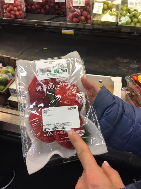 $20 for four strawberries at a Japanese supermarket in Edgewater Holding Strawberry, Japanese Supermarket, Tokyo Trip, Fav Place, Living In Japan, Tokyo Travel, Strawberries, Amazing Things, Takeout Container