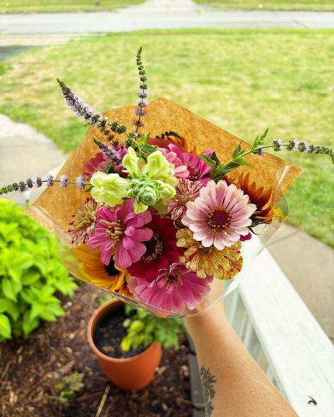 💐❤️💐 $15 Wrapped Bouquets 💐❤️💐 We are offering zinnia and sunflower bouquets. Our gardens are blooming with sunflowers and zinnias, and we want to share these beautiful blooms with you! We hope to have enough to have a tent sale this week! Message us if you would like to pre-order a bouquet today! You can also place custom orders on our website! Backyardbloomsbouquets.com Bouquet Recipes, Zinnia Bouquet, Bouquet Recipe, Cheap Wedding Decorations, Sunflower Bouquet, Sunflower Bouquets, Tent Sale, Cheap Wedding, Flower Farm