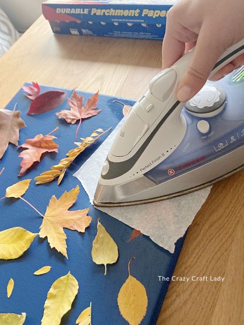 cover leaves with parchment paper and iron to activate dry Mod Podge Fall Leaf Art Projects, Fall Chalkboard Art, Dry Leaf Art, Free Fall Printables, Parchment Paper Craft, Blue Chalk Paint, Bored Kids, Autumn Leaves Art, Mod Podge Crafts