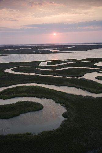 Marshland on Bald Head Island, North Carolina North Carolina Marsh, Crawdads Sing, North Carolina Coast, Carolina Coast, Bald Head Island, Salt Marsh, Wrightsville Beach, North Carolina Homes, Carolina Beach