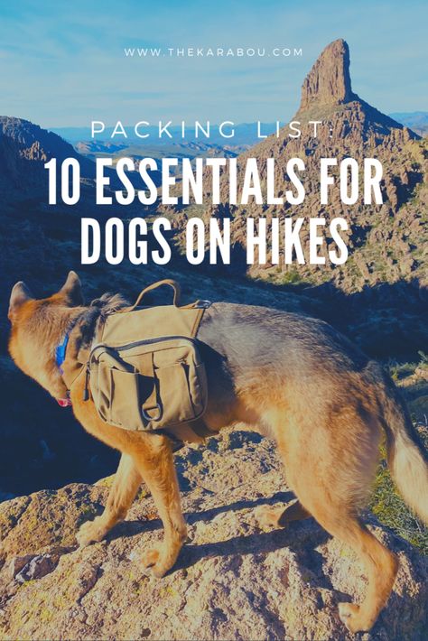 Day Hike Packing List Dog, Hiking Needs List, Backpacking With A Dog, Hiking With Dogs Packing List, Dog Hiking Essentials, Dog Packing List, Dogs Day, Hiking With Dogs, Hiking Dog