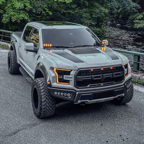 Ford Raptor Truck, Car Obsession, Impala 67, Raptor Truck, Ford Lobo, Ford F150 Raptor, Ford Trucks F150, Ford Ranger Raptor, Vintage Pickup