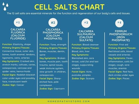 Bioplasma Cell Salts Benefits, 12 Cell Salts, Tissue Salts Homeopathy, Cell Salts Homeopathy, Cell Salts Chart, Joette Calabrese Homeopathy, Alternative Medicine Holistic Healing, Cell Salts, Tissue Salts