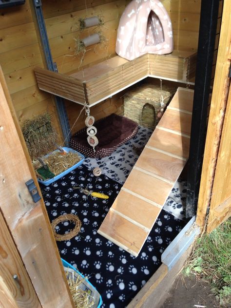 Rabbit enclosure Shed Rabbit Enclosure, Bunny Sheds, Diy Bunny Toys, Rabbit Shed, Diy Guinea Pig Cage, Rabbit Enclosure, Rabbit Habitat, Pet Rabbit Care, Bunny Hutch