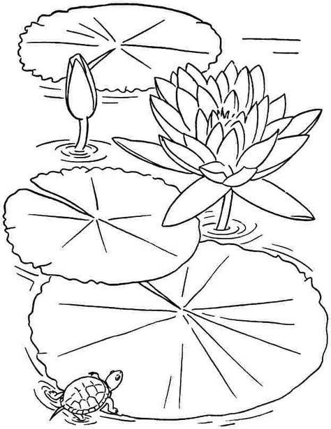 Printable Flower Coloring Pages, Colouring Sheets, Printable Adult Coloring Pages, Pola Sulam, Lotus Flowers, Flower Printable, Flower Coloring Pages, The Pond, Stained Glass Patterns