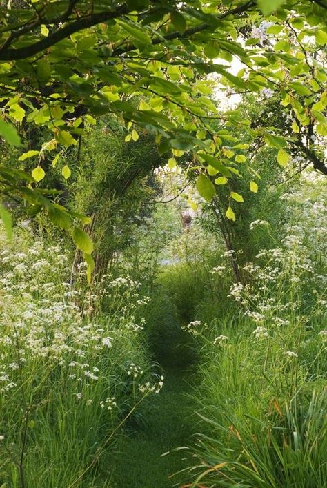 Country Garden Landscaping, Natures Path, French Country Garden, Permaculture Design, The Secret Garden, Garden Photos, Green Gables, Garden Cottage, Alam Yang Indah