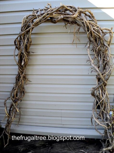 Heavy Grapevine Creates An Entry Arch (see below) The freak, Winter storm that hit the Northeastern U.S. over Halloween weekend created ... Grapevine Arch, Grape Vine Decor, Entry Arch, Twig Branch, Vine Wreath, Front Deck, Vine Leaves, Wood Tree, Winter Storm