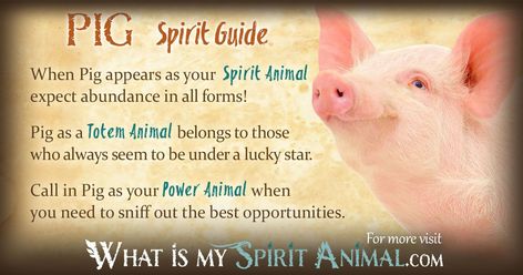 In-depth Pig Symbolism & Pig Meanings! Pig as a Spirit, Totem, & Power Animal. Plus, Pig in Celtic & Native American Symbols & Pig Dreams! Animal Totem Spirit Guides, Symbolism Meaning, Spirit Animal Meaning, Animal Meanings, Spirit Animal Totem, Animal Spirit Guide, Spiritual Animal, Animal Spirit Guides, Animal Medicine