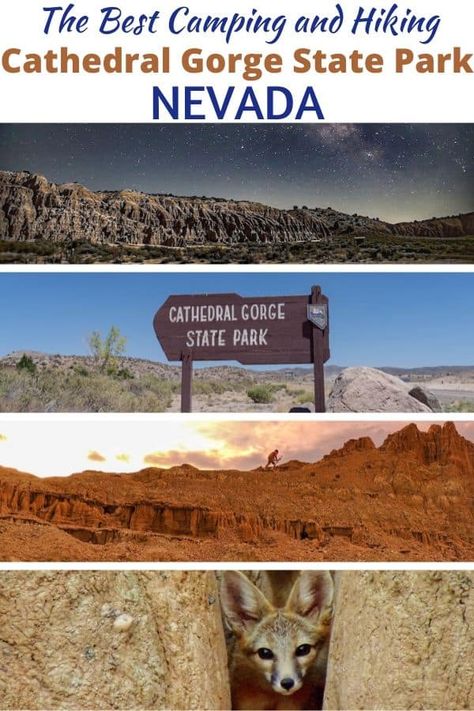 Have you been to Cathedral State Park in Nevada? This small state park is unassuming on the outside, but it's pretty amazing with a series of fun hiking trails, a great campground, and amazing wildlife. Here's why we think you should go camping at Cathedral Gorge State Park in Nevada. #backroadramblers #nevada #camping Cathedral Gorge, State Parks Usa, Redwood National And State Parks, Oasis In The Desert, Gorges State Park, Southwest Travel, Hiking Places, Utah Vacation, Southwest Usa