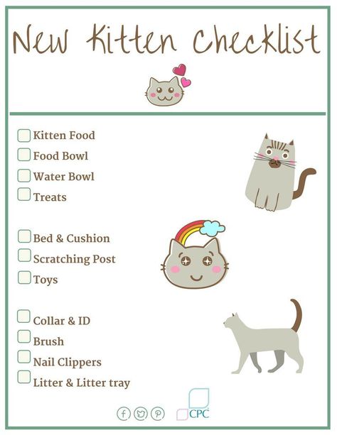 Cat Treats - Stay on top of the latest and greatest deal. Click to visit NOW! Kitten Checklist, Cat Checklist, Getting A Kitten, Kitten Names, New Kitten, Kitten Food, Cat Hacks, Cat Care Tips, Kitten Care