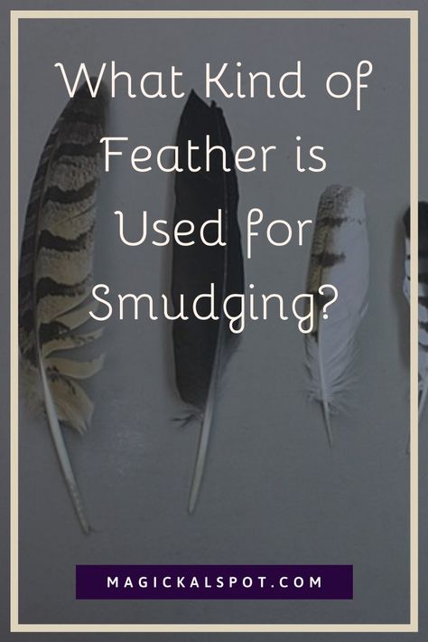 In this article, we'll find out What Kind of Feather is Used for Smudging by looking at different feathers and explain how do they help. Native American Instruments, Feather Color Meaning, Smudge Feathers, Feather Magic, Native American Medicine Wheel, Finding Feathers, Cherokee Language, Feather Meaning, Types Of Feathers