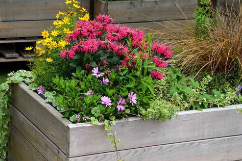 Our Best Raised Flower Bed Ideas Raised Flower Bed Ideas, Raised Bed Flower Garden, Raised Flower Bed, Raised Garden Bed Ideas, Garden Bed Ideas, Small Flower Gardens, Spiral Garden, Flower Bed Plants, Garden Bed Layout