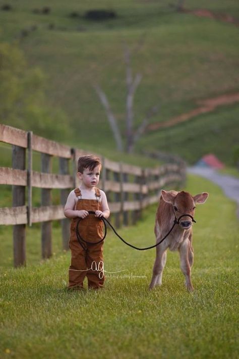 Country Baby Boy, Animal Photoshoot, Country Photography, Mini Cows, Farm Kids, Farm Photography, Cow Pictures, Farm Photo, Country Kids