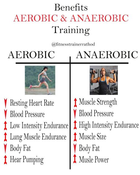 What are the benefits of Aerobic Exercise And Anaerobic Exercise. An Workout, Aerobic Workout, Becoming A Personal Trainer, Aerobic Exercises, Anaerobic Exercise, Exercise Physiology, Compound Exercises, Exercise Workouts, 2 Broke Girls