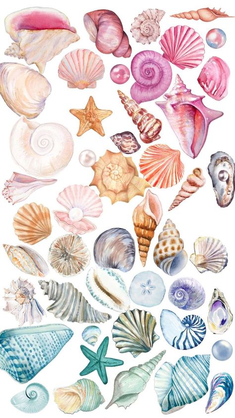 Aesthetic Wallpaper Macbook, Notebook Clipart, Travel Aesthetic Wallpaper, Clipart Aesthetic, Seashell Drawing, Aesthetic Clipart, Macbook Wallpaper Aesthetic, Aesthetic Christmas Tree, Beachy Wallpapers