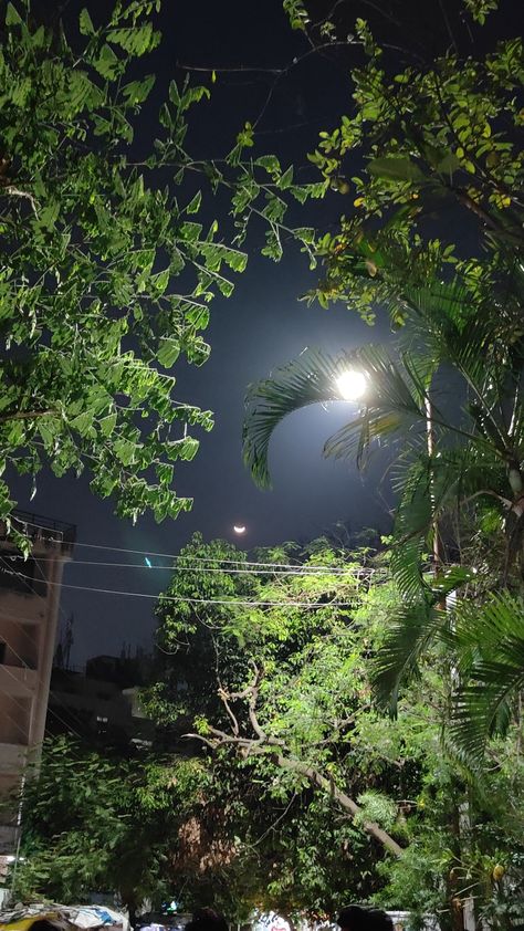 #hyderabad #photography Night Asthetics Photos Snap, Chandigarh Snap, Hyderabad Photography, Bad Pic, Trees Photo, Beautiful Horse Pictures, Clever Captions, Nature Vibes, Krishna Mantra