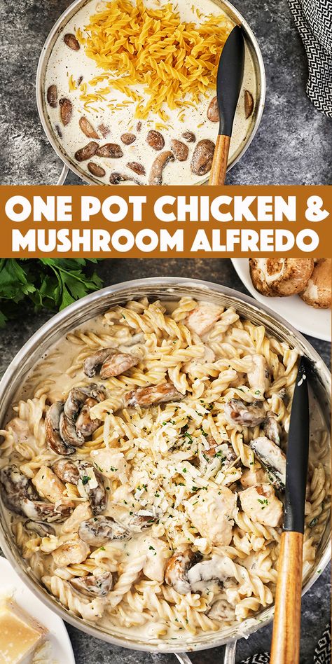 Chicken Mushroom Alfredo, Fetuccini Alfredo, Mushroom Alfredo, Chicken Mushroom Pasta, Pan Pasta, Chicken Mushrooms, Chicken And Mushroom, Chicken Alfredo Pasta, Skillet Dishes