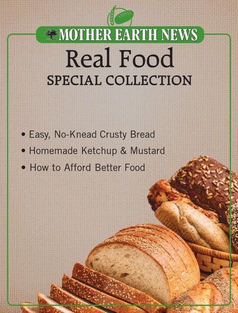 Free Guides from Mother Earth News – Mother Earth News Earth Bread Recipe, Ketchup And Mustard, Homemade Ketchup, Bread Homemade, E Newsletter, Down Arrow, Mother Earth News, No Knead, Garden Tips