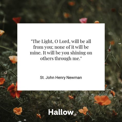 St. John Henry Newman Quote – Hallow St John Henry Newman Quotes, Dream Board Diy, John Paul Ii Quotes, John Henry Newman, Pope Francis Quotes, Teresa Of Avila, Houses Of The Holy, Saint Teresa, John Henry