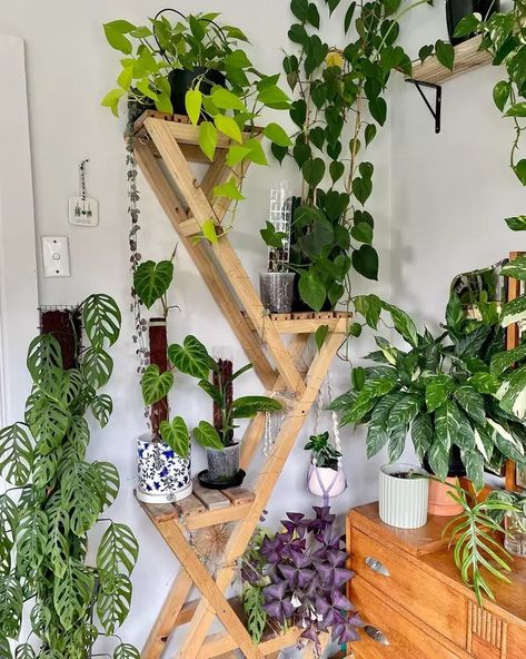 15 Plant Shelf Ideas We Love to Show Off Your Greenery Plant Console Table, Plants In Bathroom, Plant Shelf Ideas, Best Bathroom Plants, Indoor Plant Trellis, Indoor Plant Shelves, Plant Display Ideas, Interior Design Plants, Indoor Plant Wall