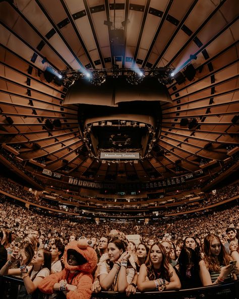 @ajrbrothers at msg 📸 #ajr #ajrbrothers #tour #maybeman #maybemantour #tmm #tourphotographer #tourphotography #concert #concertphotography #concertphotographer #photography #canon #sigma #adobe #msg #madisonsquaregarden #nyc Madison Square Garden, Concert Photography, Concert, Photographer, Photography, Instagram