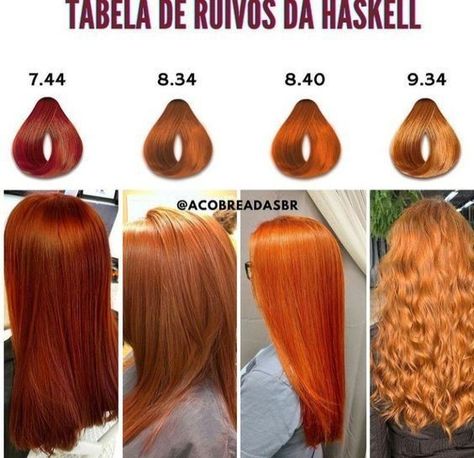 Medium Red Gold Hair, Sizzling Copper Hair Loreal, Dyed Hair Korean, Ginger And Black Hair, Honey Copper Hair, Paprika Hair Color, Modern Hairstyles For Women, Short Copper Hair, Copper Hair Dye