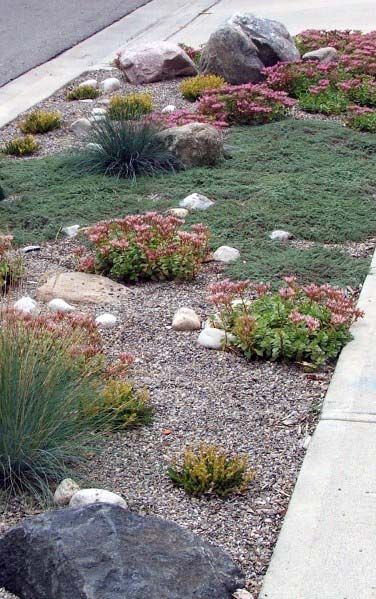 Xeriscape Front Yard, Gravel Landscaping, Front Landscape, Lawn Alternatives, Drought Tolerant Landscape, Small Front Yard Landscaping, Front Yard Ideas, Gravel Garden, Low Maintenance Landscaping