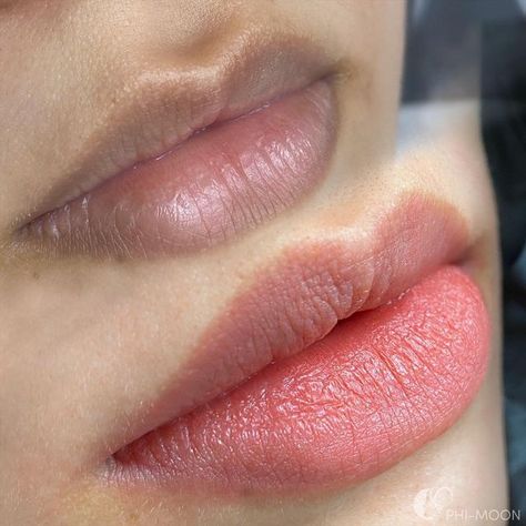 Lip Blushing Tattoo Before And After, Lip Microblading, Lip Shading, Microblading Lips, Lip Color Tattoo, Pmu Lips, Eyebrow Images, Lip Pigmentation, Easy Diy Wall Hanging