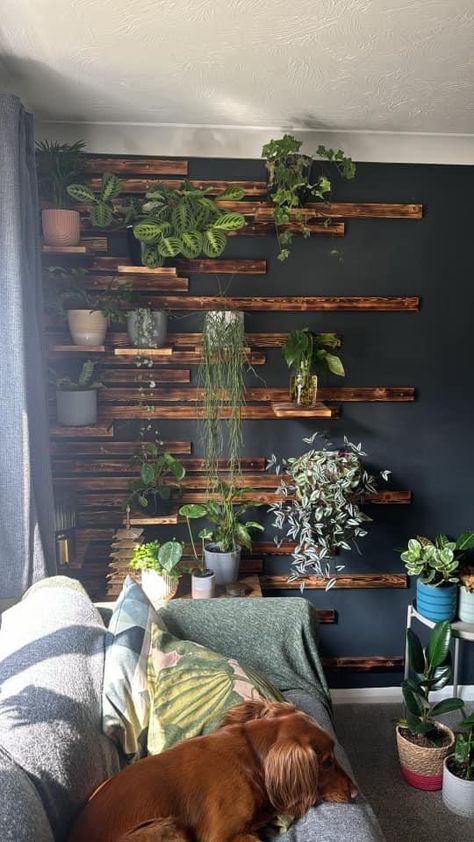 Black And Earthy Aesthetic, Plant Wall In Office, Wood On Black Wall, Black Walls With Wood Accent, Black Plant Wall, Dark Wood Shelf Decor, Dark Wood Shelves, Black Plant, Herb Wall