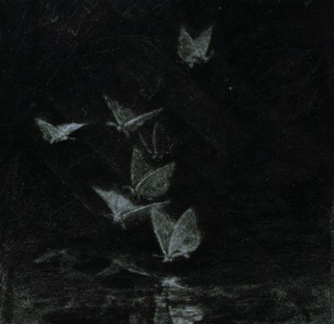 Dark Butterflies Aesthetic, Blackcore Pfp, Dark Grunge Academia Aesthetic, The Curator Dark Pictures, Plants Dark Aesthetic, Moth Aesthetic Dark, Dark Grunge Pfp, Dark Faerie Aesthetic, Grunge Widgets