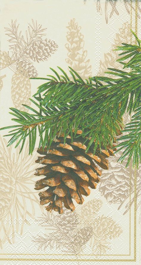 Paper Napkin Folding, Decorative Paper Napkins, Fir Cones, Paper Guest Towels, Paper Cocktail Napkins, Decorative Napkins, Christmas Weddings, Beverage Napkins, Holiday Paper