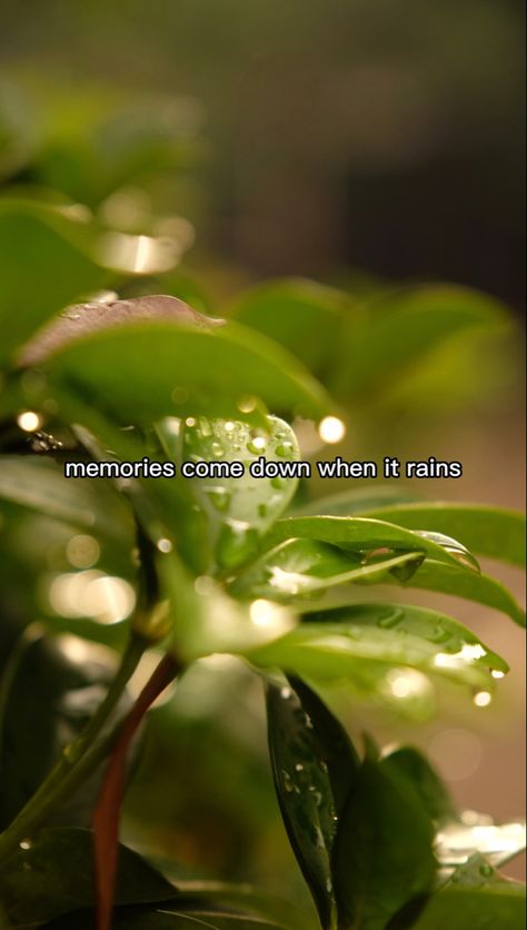 #AestheticQuotes #AestheticQuotesForBio #AestheticQuotesAboutLove #AestheticQuotesAboutLife #AestheticQuotesWallpaper #ShortAestheticQuotes #quotes #lyrics Rain And Music, Music Quotes Aesthetic, Quotes Lyrics, Quotes Aesthetic, Memories Quotes, When It Rains, Photo Quotes, Quote Aesthetic, Music Quotes