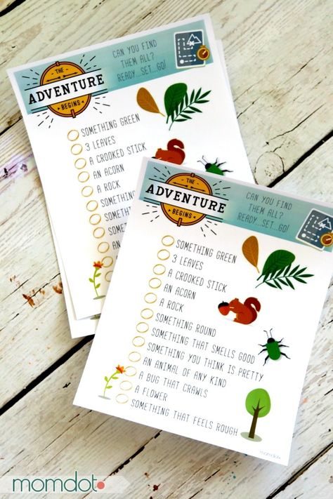 Kids Camping Party, Camping Party Ideas, Natural Birthday Party, Indoor Camping Party, Backyard Kids Party, Adventure Birthday Party, Camping Theme Birthday Party, Camping Theme Birthday, Scavenger Hunt Birthday