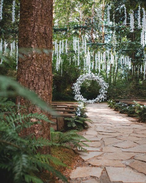 Twilight Inspired 2024 | Kim's Creations Twilight Wedding Theme, Twilight Wedding, Single Tier Cake, Forest Theme Wedding, Dream Wedding Venues, Intimate Photos, Reception Design, Groom Boutonniere, Forest Theme