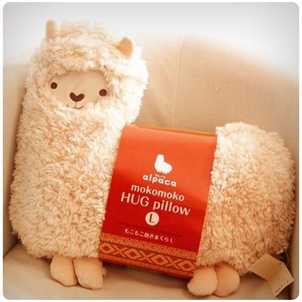 Llama Nursery, Hug Pillow, Cute Alpaca, Llama Drama, Llama Alpaca, Cute Llama, Funny Nurse, Softies, Soft Toy