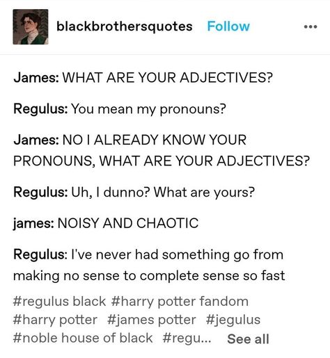 Regulus Headcannons, Marauders Headcannons, Marauders Harry Potter, Regulus Acturus Black, Harry Potter Texts, Orion Black, Barty Crouch, Harry Hermione, Funny Harry Potter Jokes