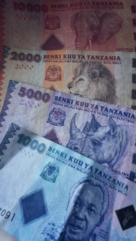 Beautiful Tanzanian schilling! Tanzanian Money, Tanzanian Culture, Personal Vision Board, We Outside, Decent Wallpapers, Money Icons, Foreign Currency, Summer 2025, Africa Art