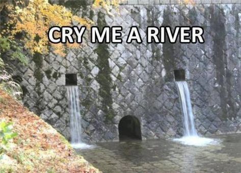 [Image - 658439] | Cry Me a River | Know Your Meme Cry Me A River, Funny Faces, Bones Funny, Trending Memes, Picture Photo, I Laughed, Funny Pictures, Funny Quotes, Funny Memes